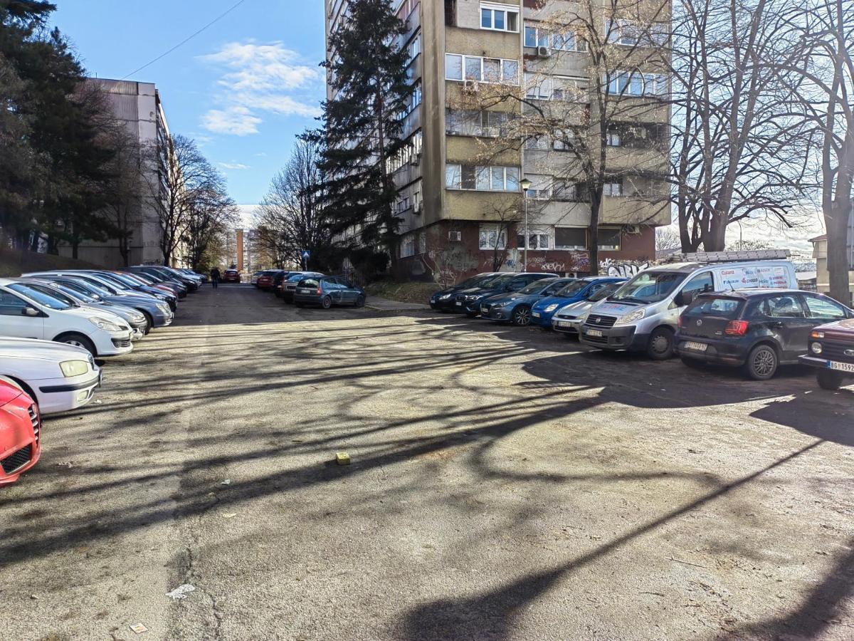 Cosy Apart Aca Белград Екстериор снимка